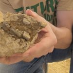 Un adolescente descubrió restos de un dinosaurio de 150 millones de años durante un proyecto escolar: "Estaba muy emocionado"